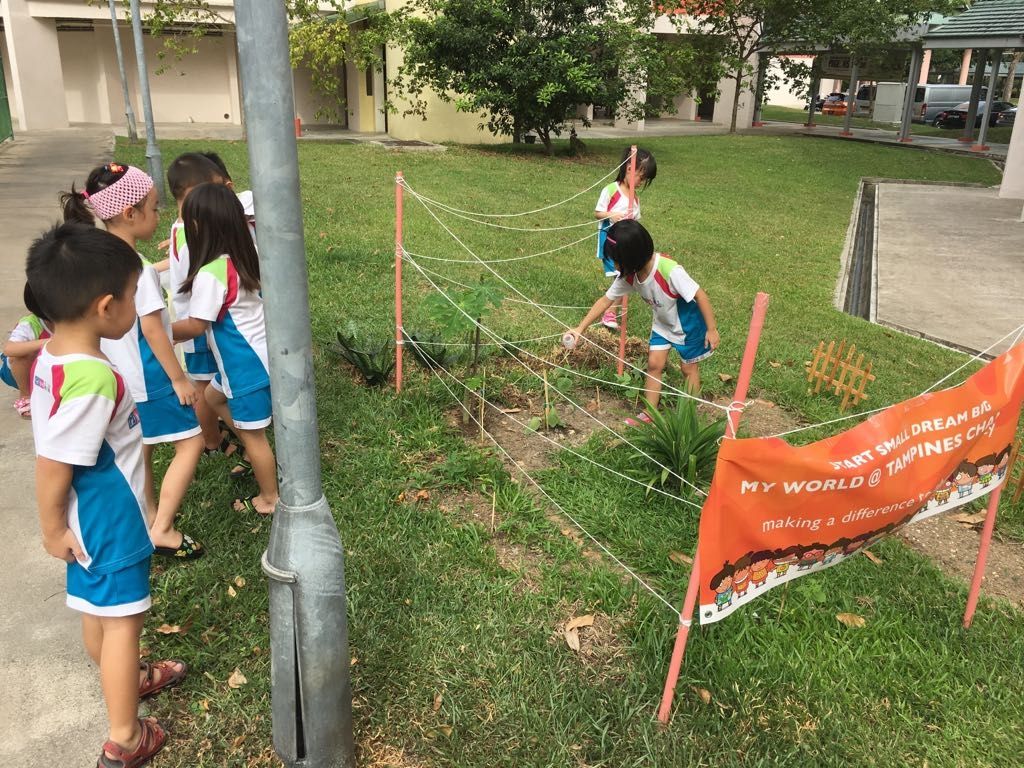Little Green Hands @ work by MY World @Tampines Changkat — photo 13