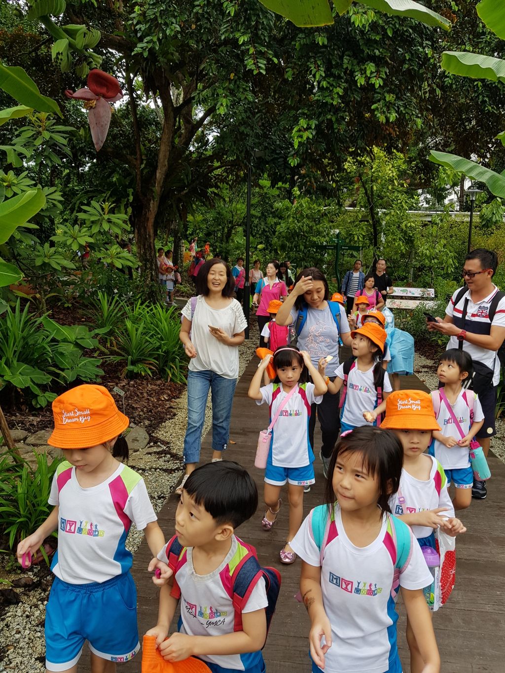 Little Green Hands @ work by MY World @Tampines Changkat — photo 2