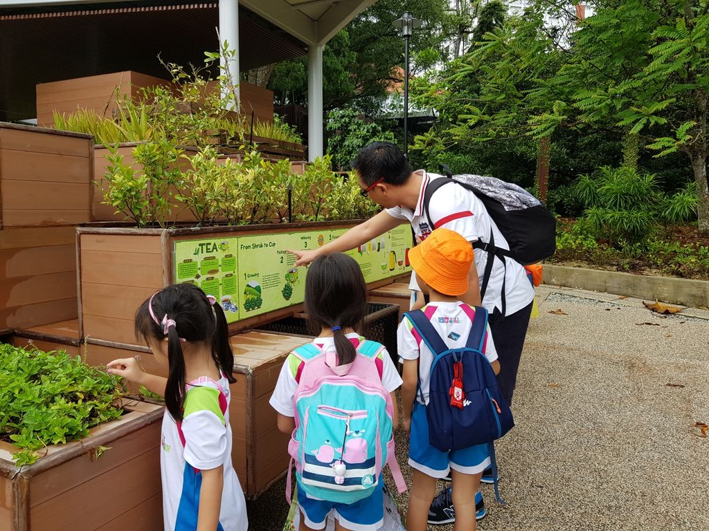 Little Green Hands @ work by MY World @Tampines Changkat — photo 8
