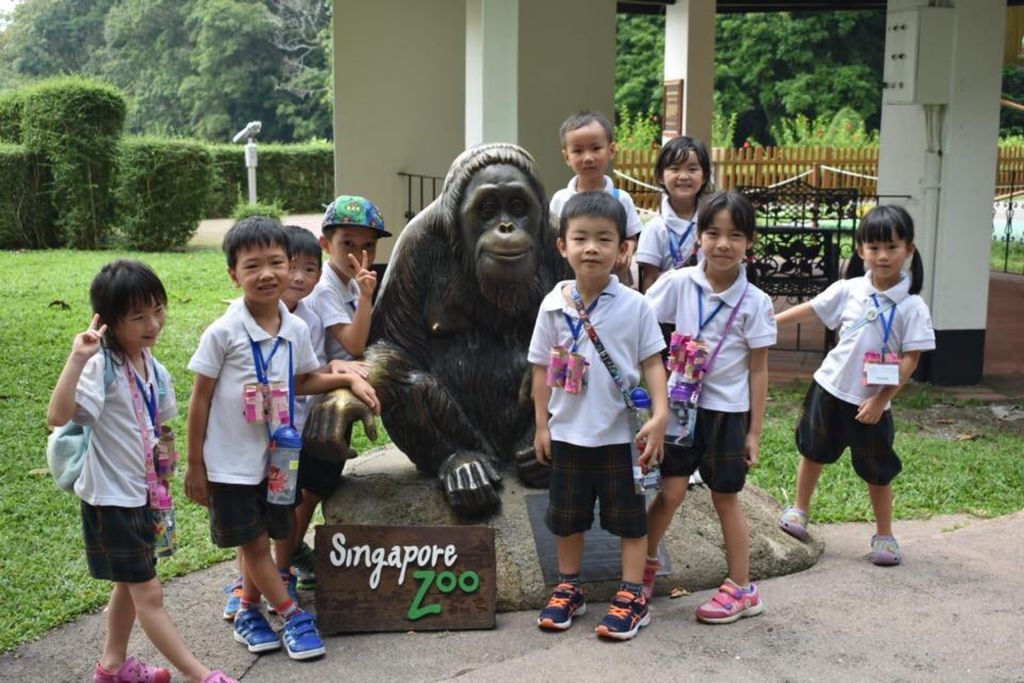 A Small Project, A Big Dream - Raising Awareness To Save The Primates — photo 1