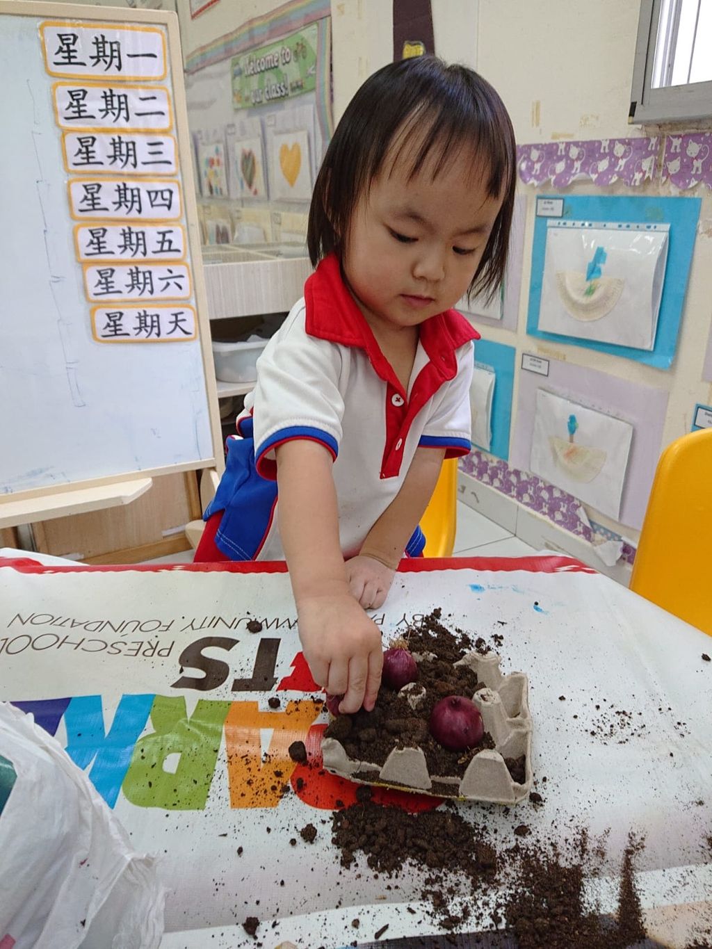 Children at work: Let's go recycle and plant — photo 2