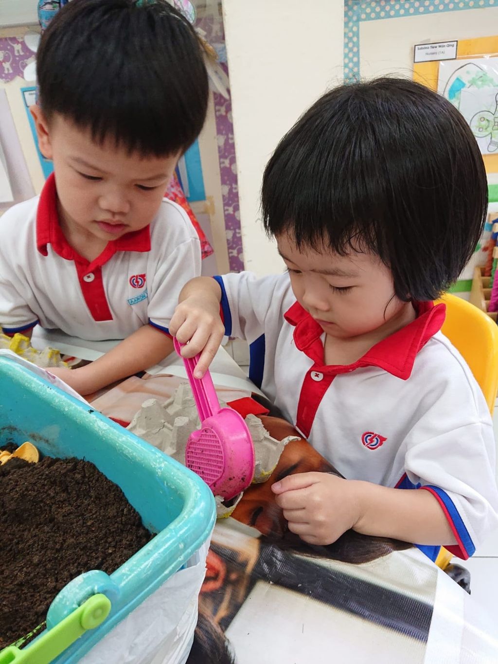 Children at work: Let's go recycle and plant — photo 19