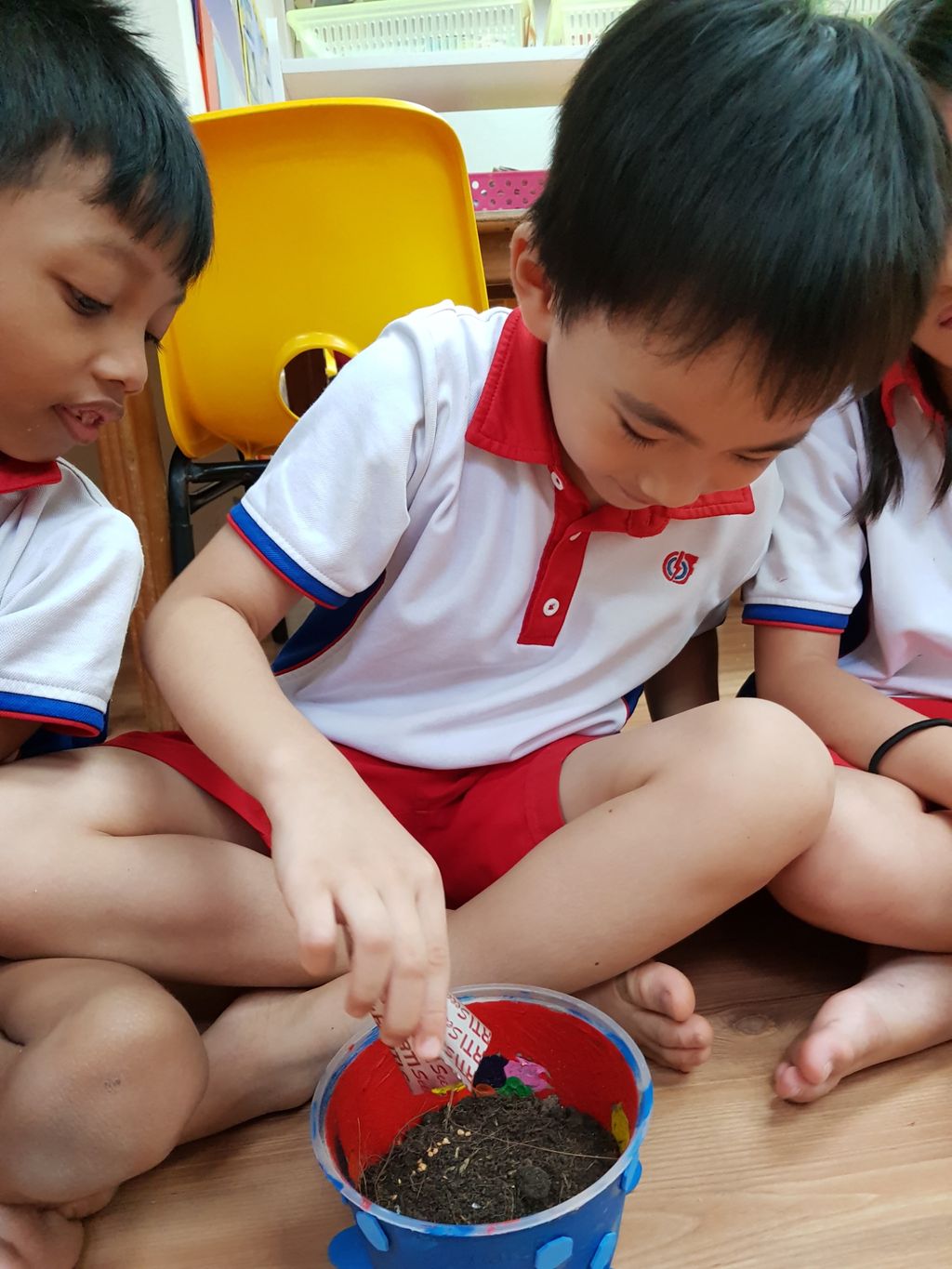 Children at work: Let's go recycle and plant — photo 46