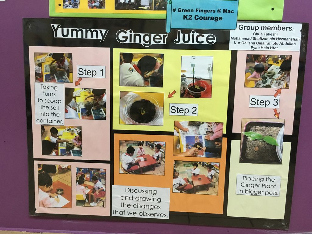 K2 Children in Actions — photo 2