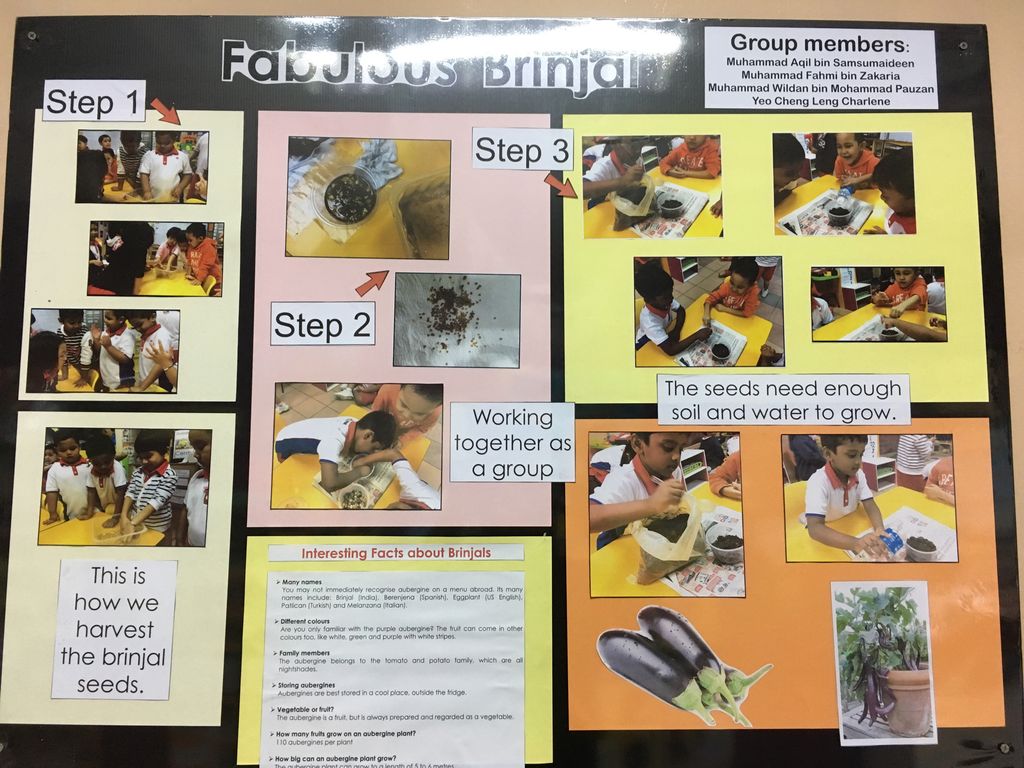 K2 Children in Actions — photo 3