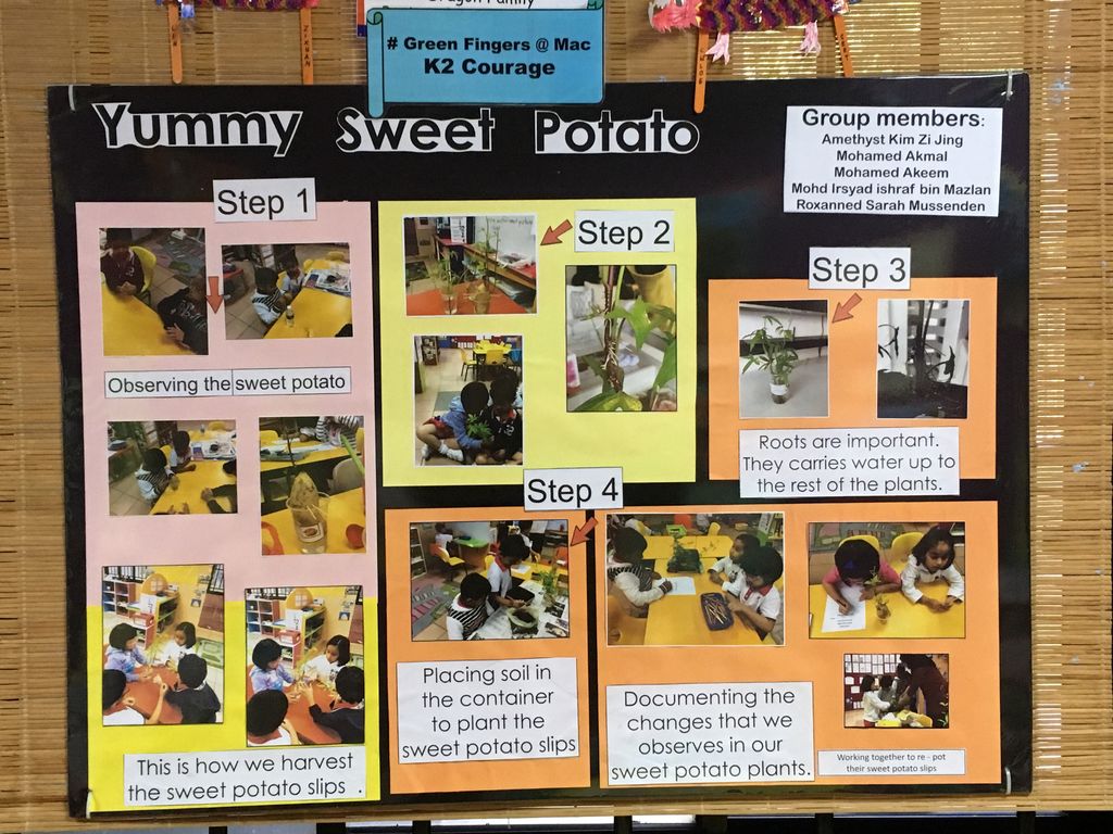 K2 Children in Actions — photo 4