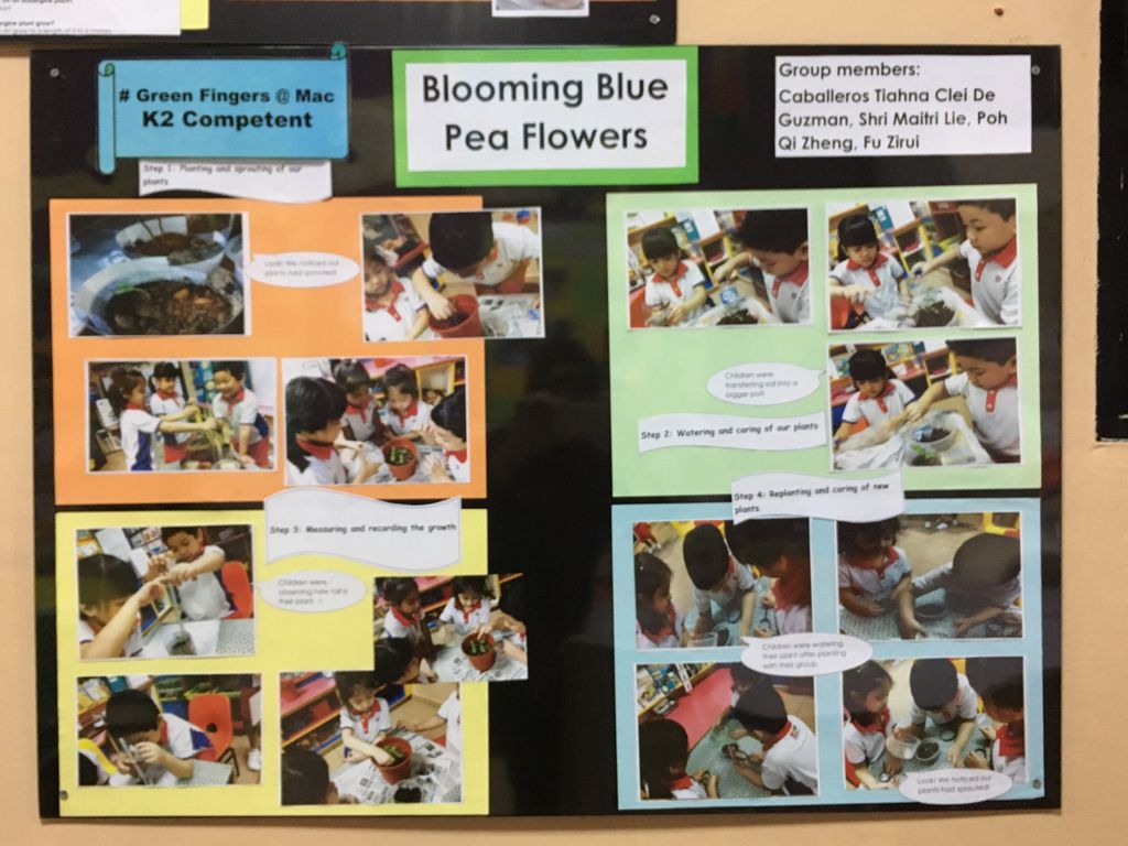 K2 Children in Actions — photo 2