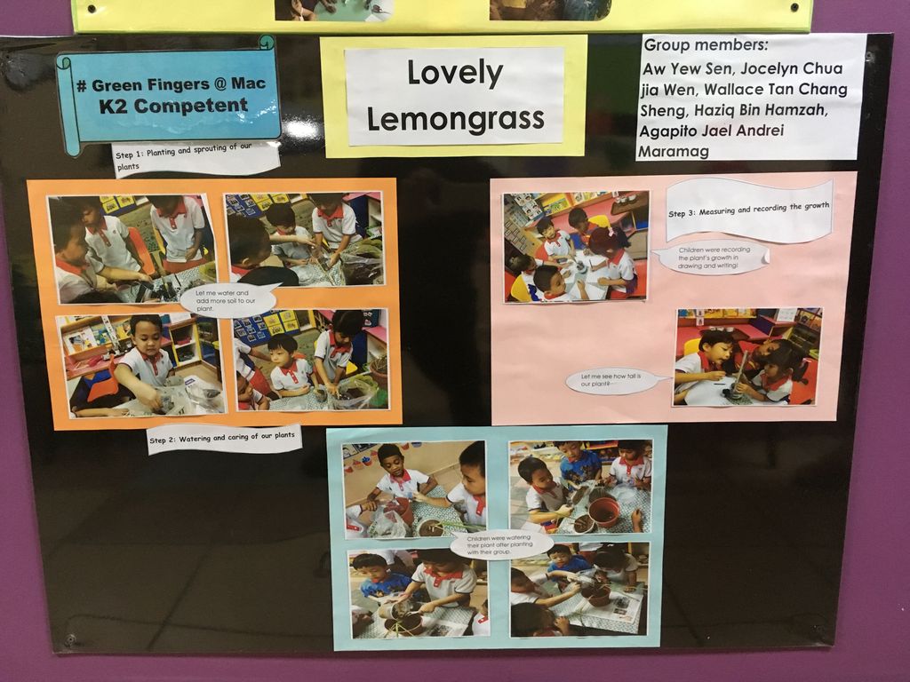 K2 Children in Actions — photo 3