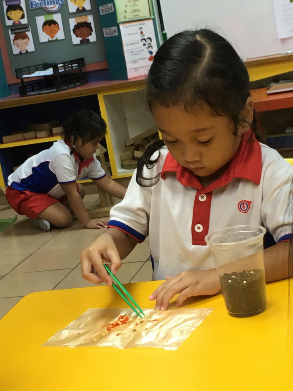 K1 Children in Actions
