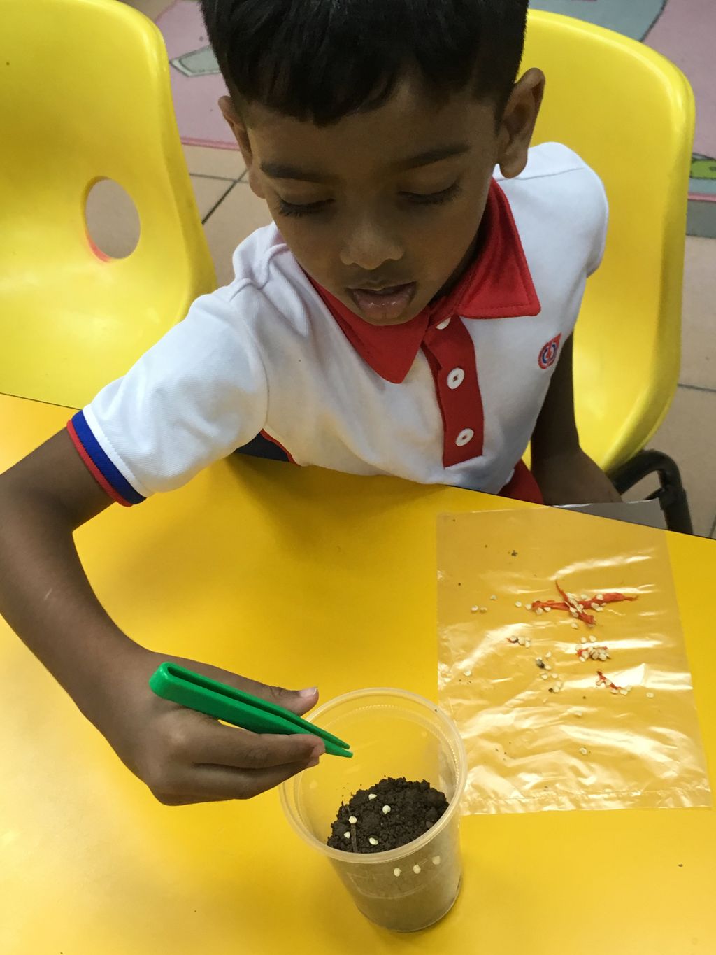 K1 Children in Actions — photo 3