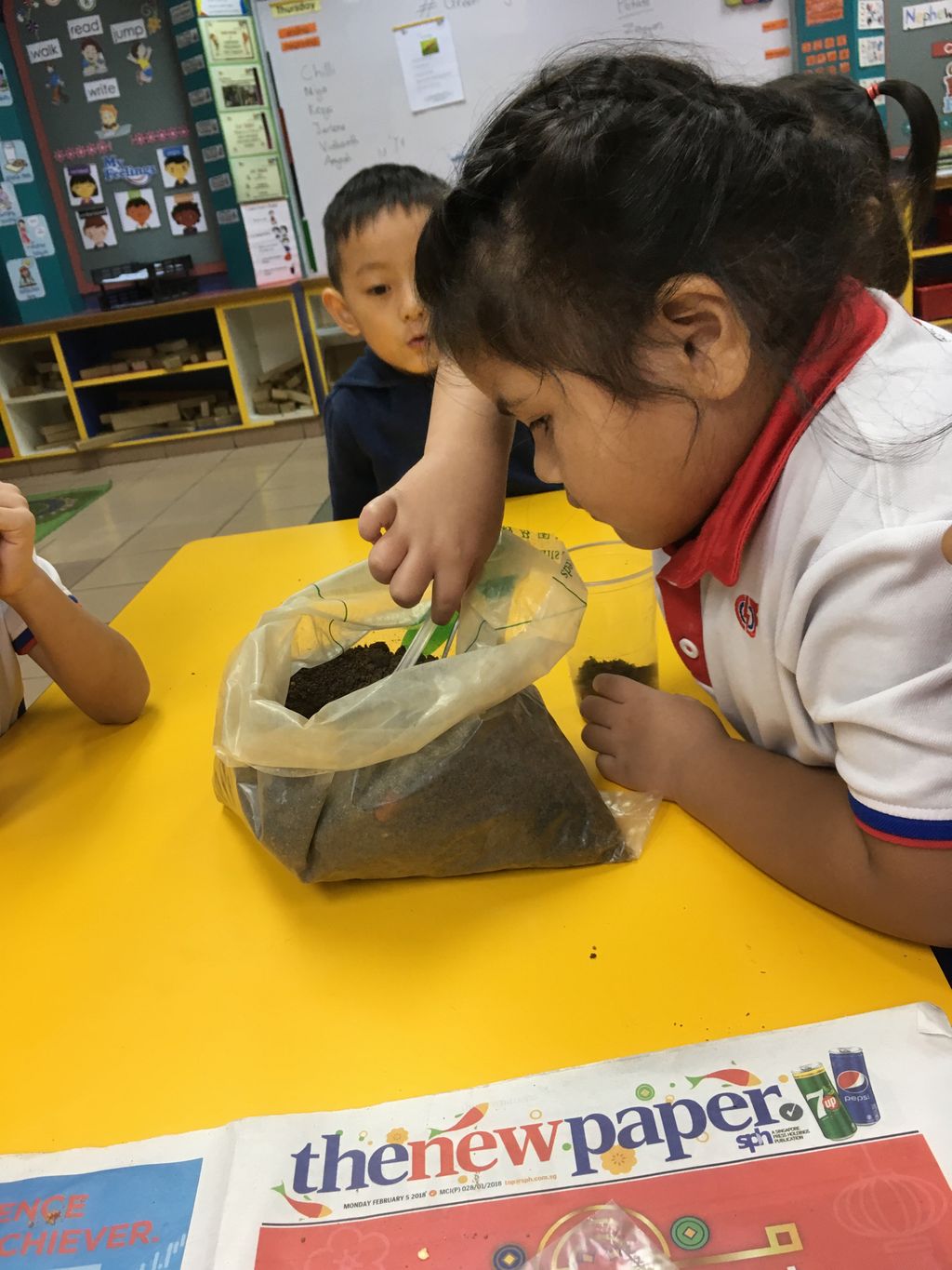 K1 Children in Actions — photo 2