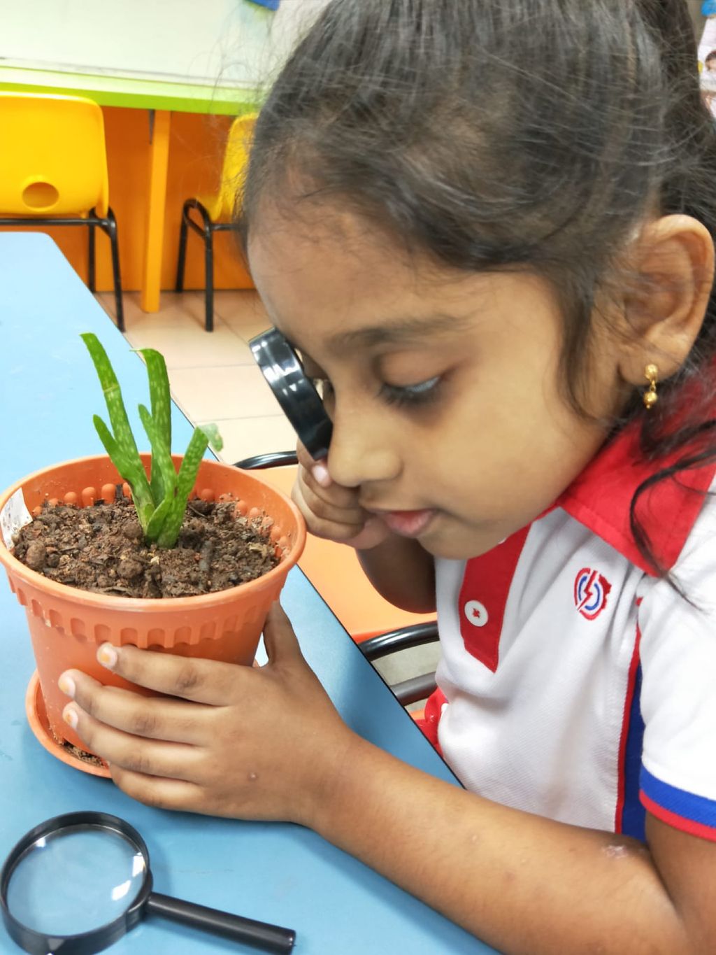 K1 Children in Actions — photo 2