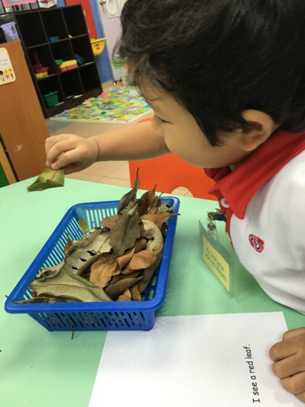 Nursery Children in Action — photo 3