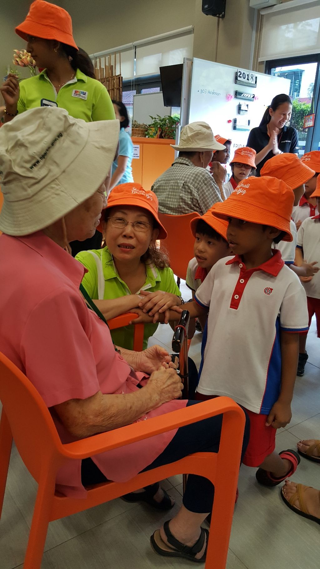 Green Fingers at St. Andrew's Nursing Home — photo 1