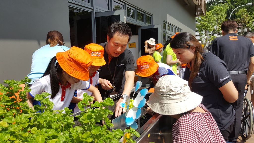 Green Fingers at St. Andrew's Nursing Home — photo 2