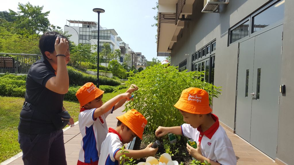 Green Fingers at St. Andrew's Nursing Home — photo 3