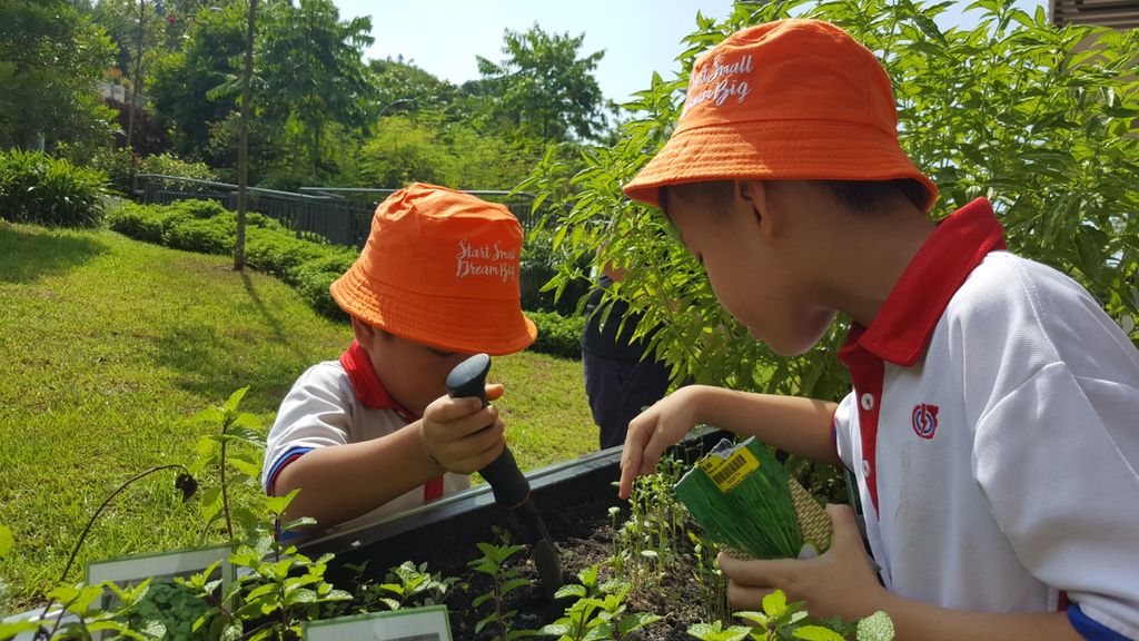 Green Fingers at St. Andrew's Nursing Home — photo 4