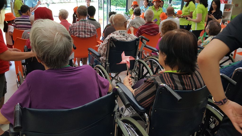 Green Fingers at St. Andrew's Nursing Home — photo 1