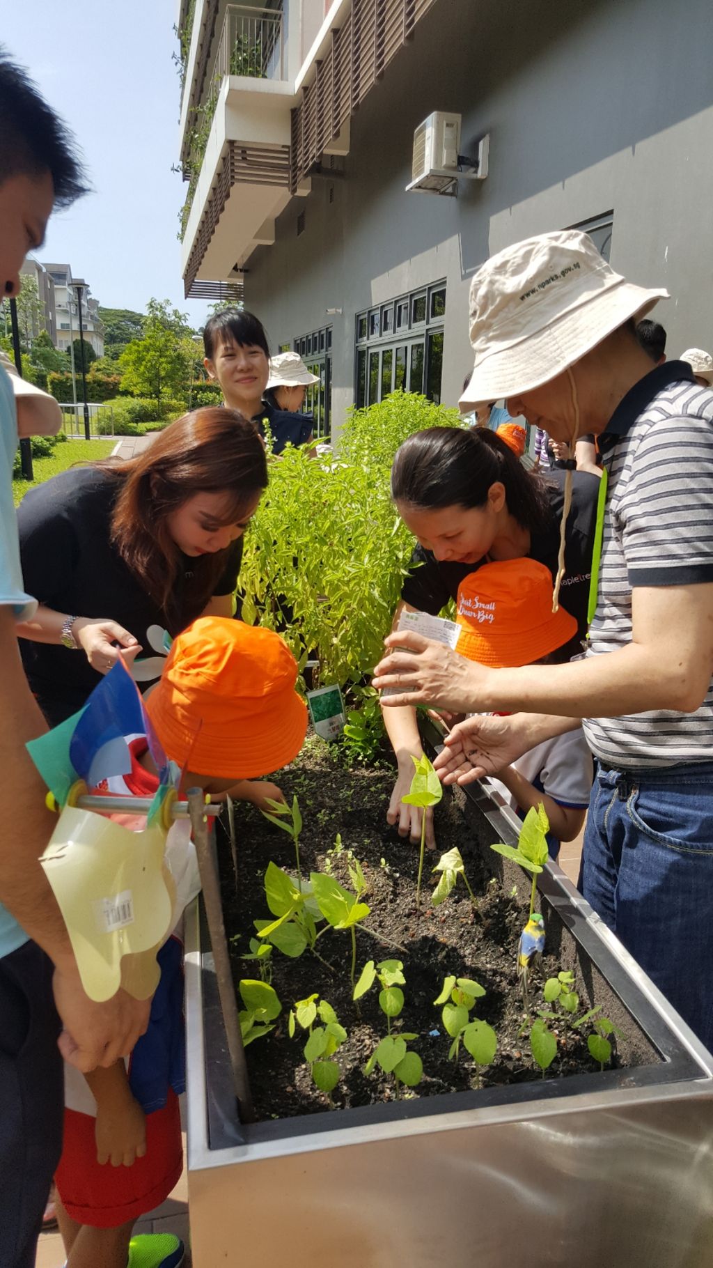 Green Fingers at St. Andrew's Nursing Home — photo 1