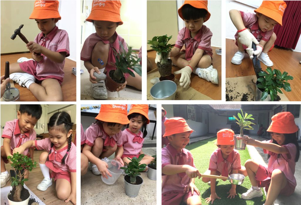 SSDB 2018 Community Outreach: Little Arborists