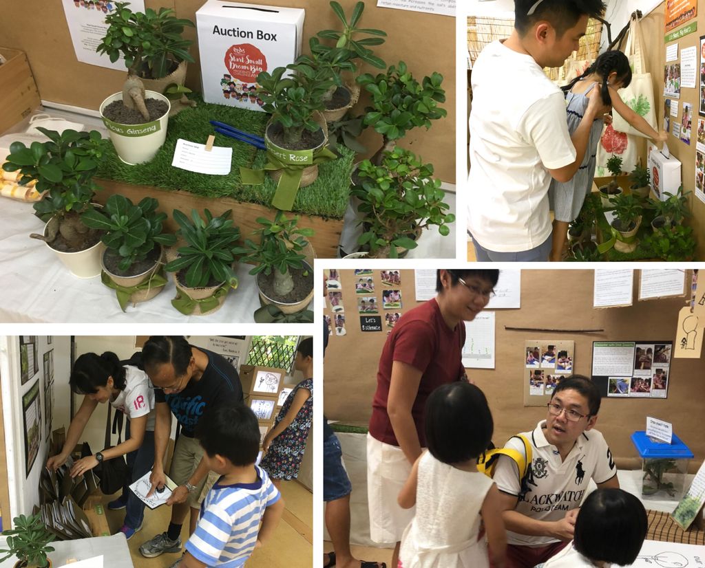 SSDB 2018 Community Outreach: Little Arborists — photo 1
