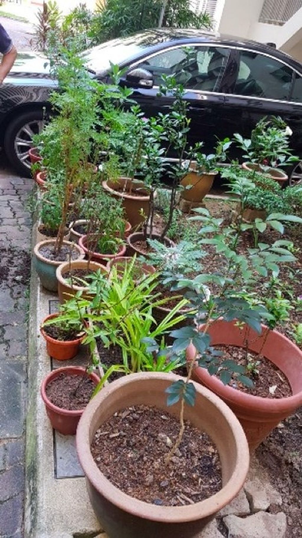 Garden of Love — photo 3
