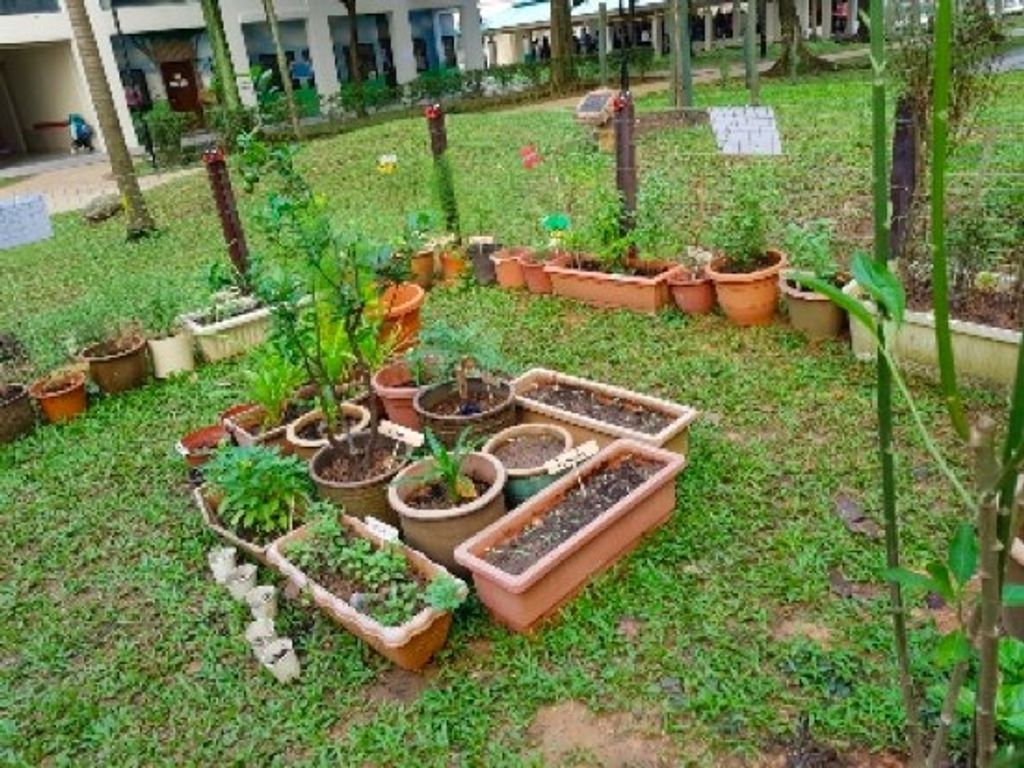Garden of Love — photo 1