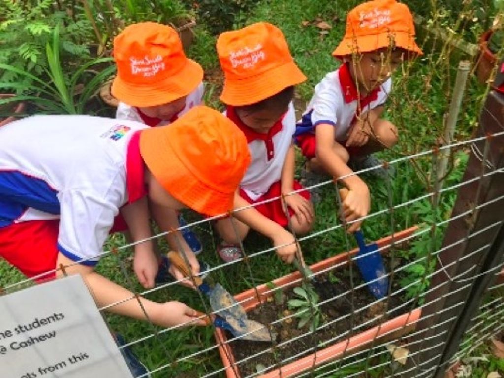 Garden of Love — photo 5