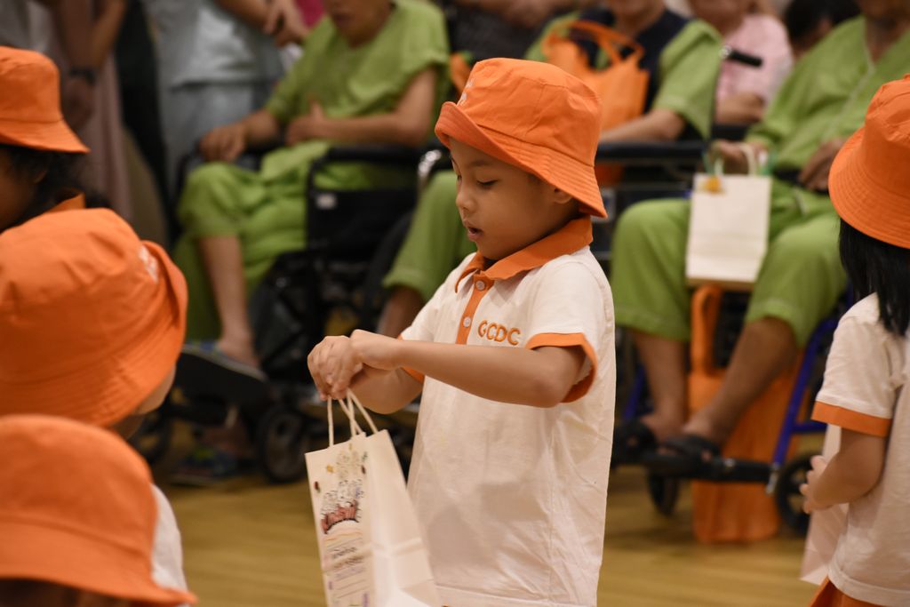 Graceful Hands Caring Hearts Charity Carnival 2018 — photo 2
