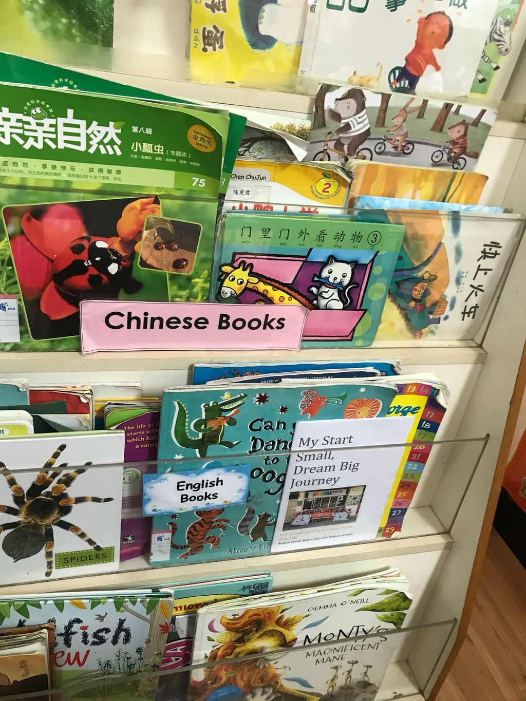 Our SSDB Journey Booklet — photo 14