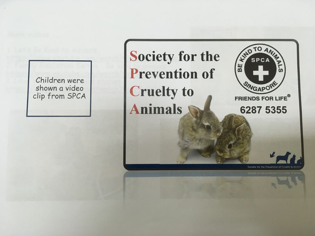 Kindness to animals: SPCA