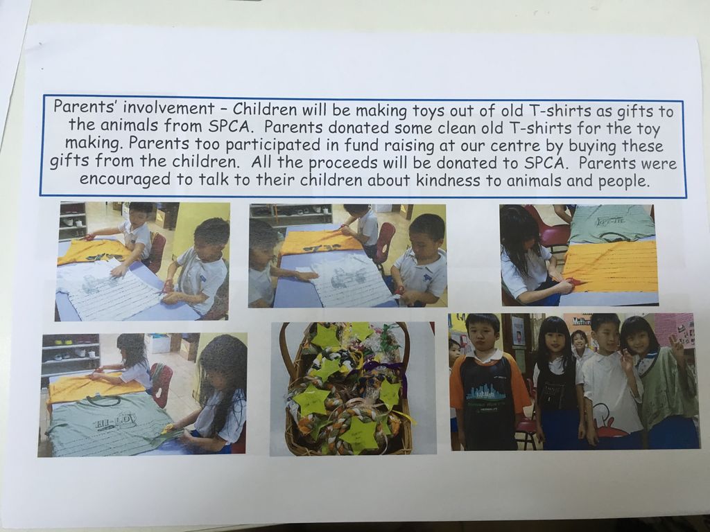 Kindness to animals: SPCA — photo 3