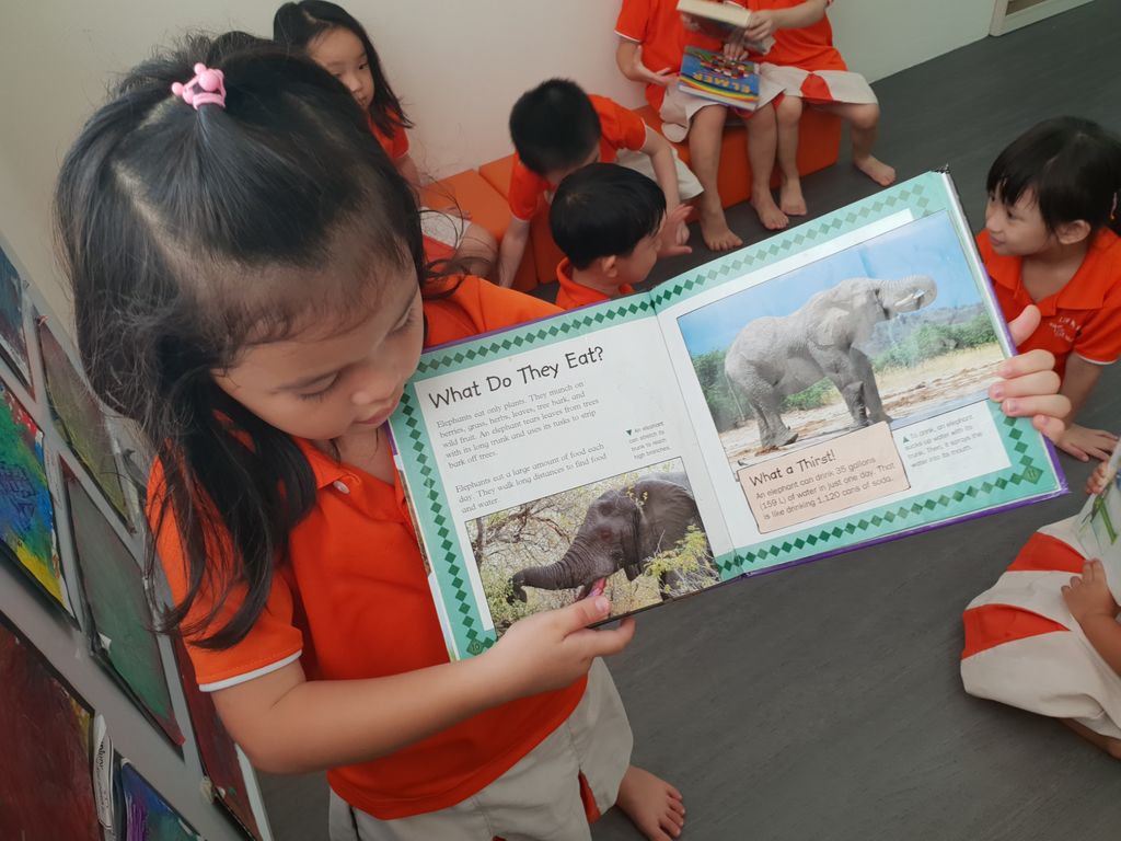 LEARNING through READING — photo 6