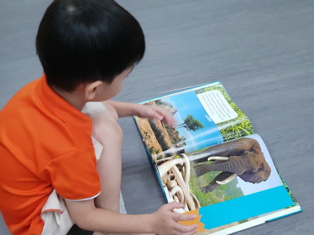 LEARNING through READING — photo 7