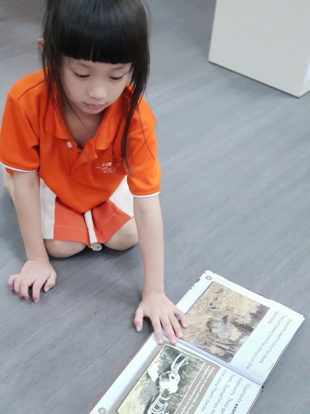 LEARNING through READING — photo 10