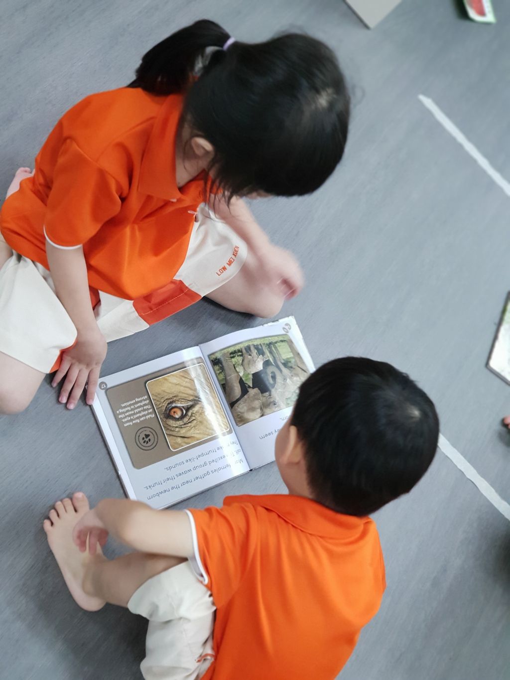 LEARNING through READING — photo 11