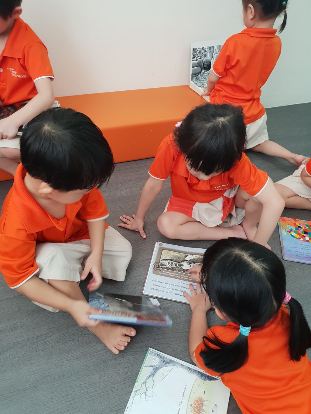 LEARNING through READING — photo 13