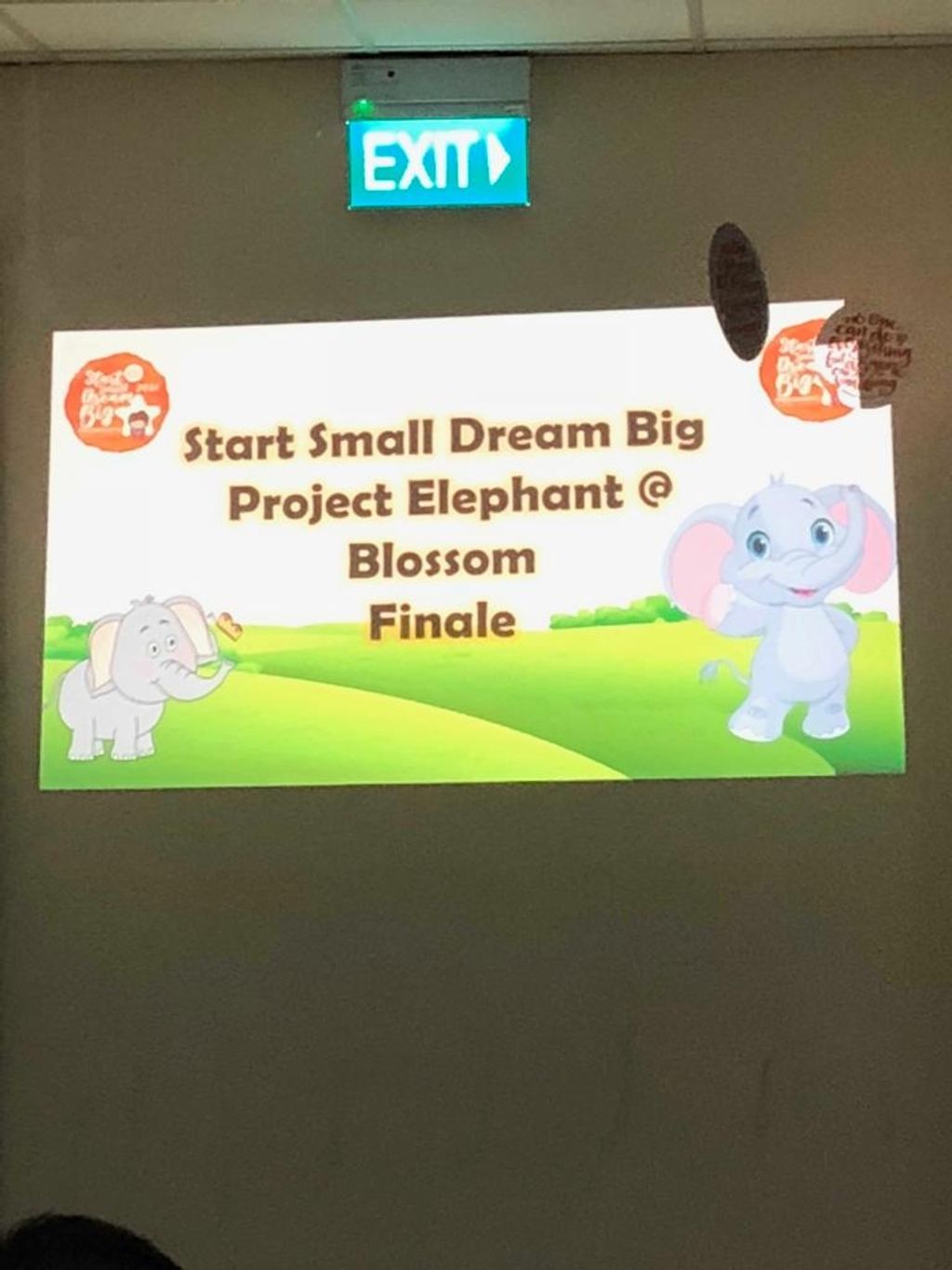 Project Elephant @ Blossom Finale — photo 44