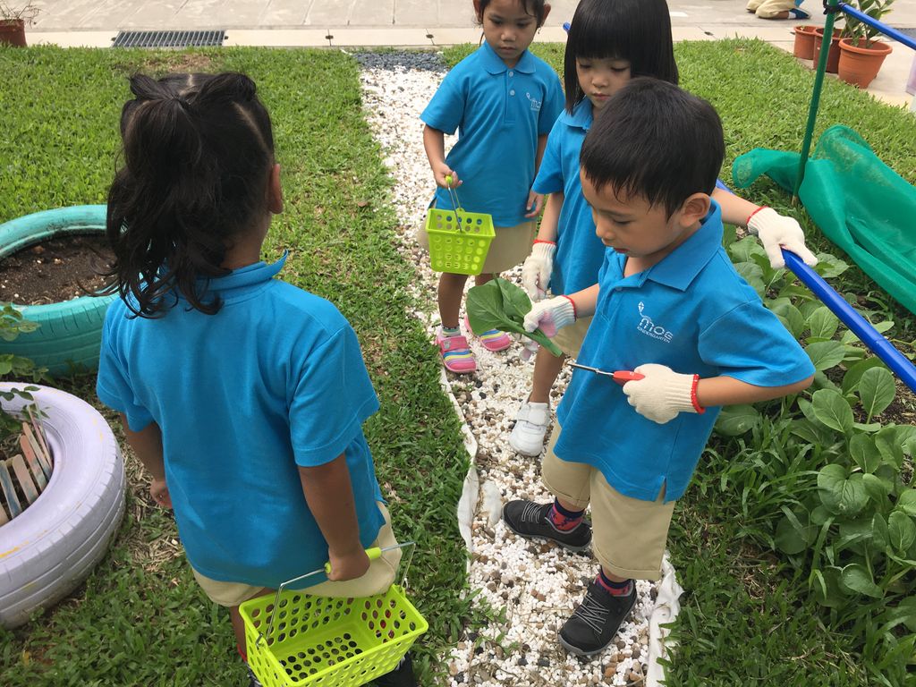 Love Spreads from the Garden - Witness the Growth of Our Children and Plants — photo 2