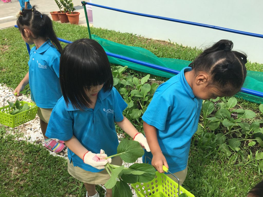 Love Spreads from the Garden - Witness the Growth of Our Children and Plants — photo 3