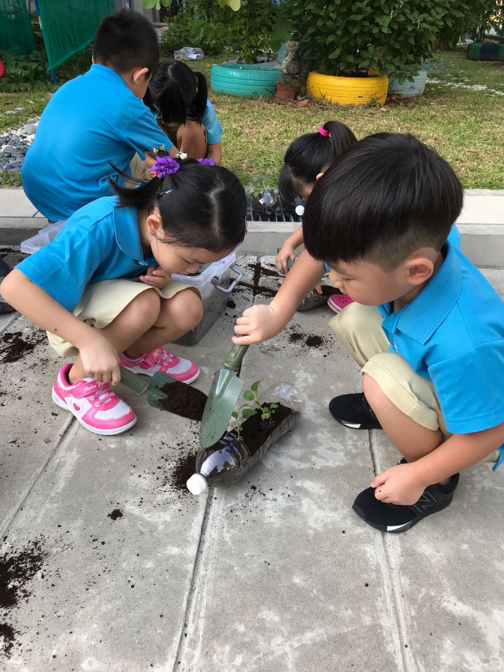Love Spreads from the Garden - When the Love for Nature Reproduces
