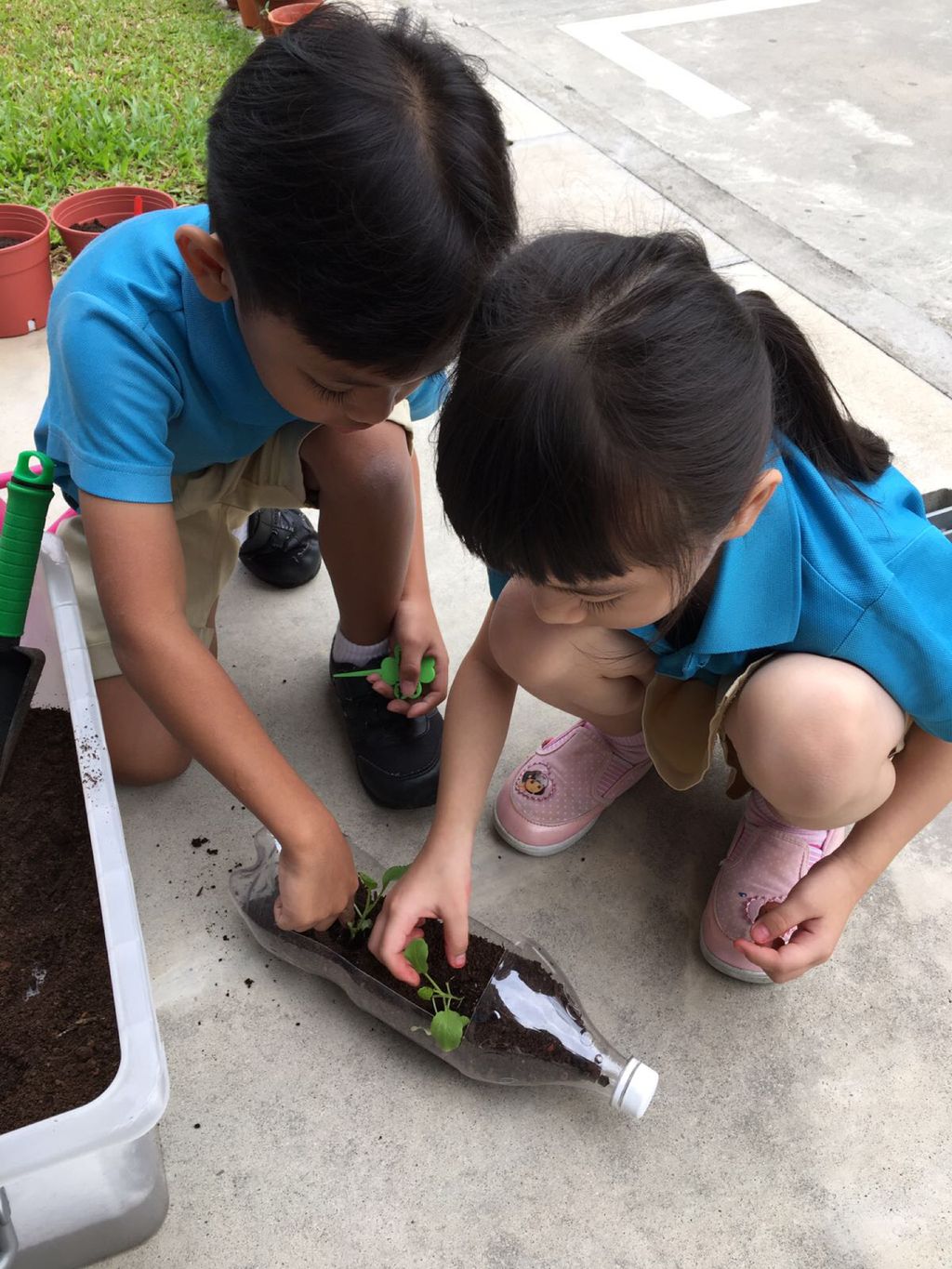 Love Spreads from the Garden - When the Love for Nature Reproduces — photo 6