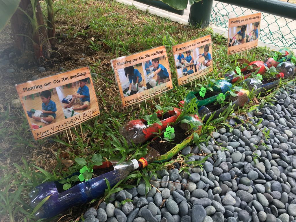 Love Spreads from the Garden - When the Love for Nature Reproduces — photo 1