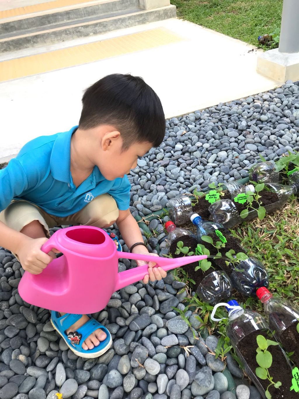 Love Spreads from the Garden - When the Love for Nature Reproduces — photo 2