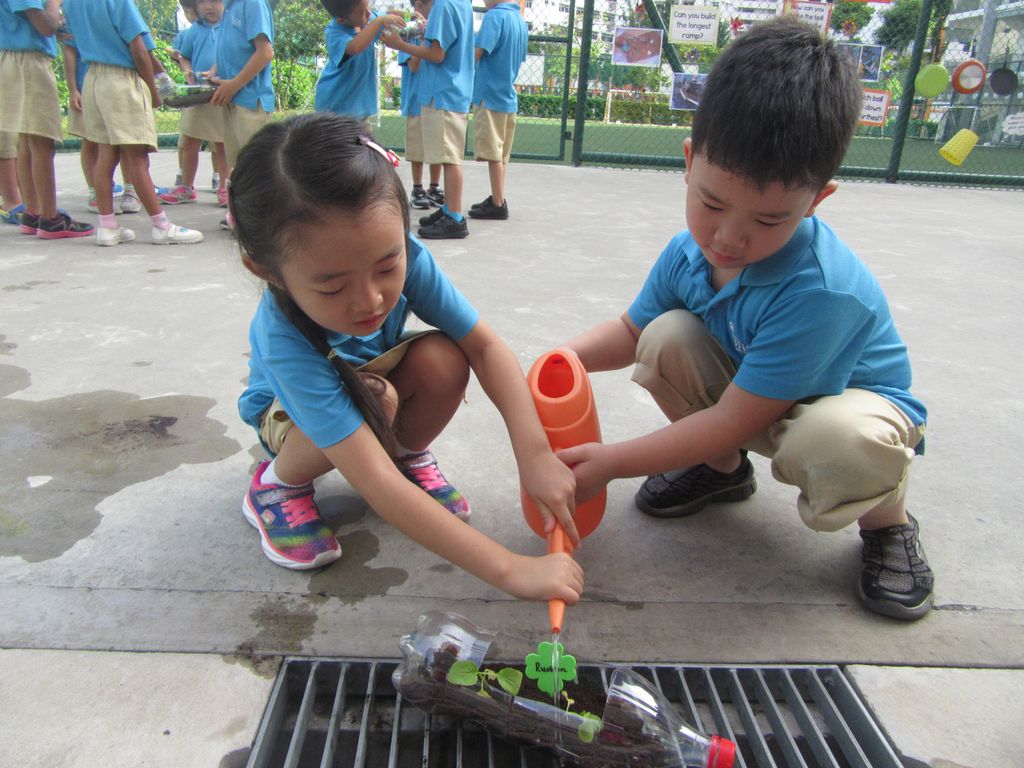 Love Spreads from the Garden - When the Love for Nature Reproduces — photo 3