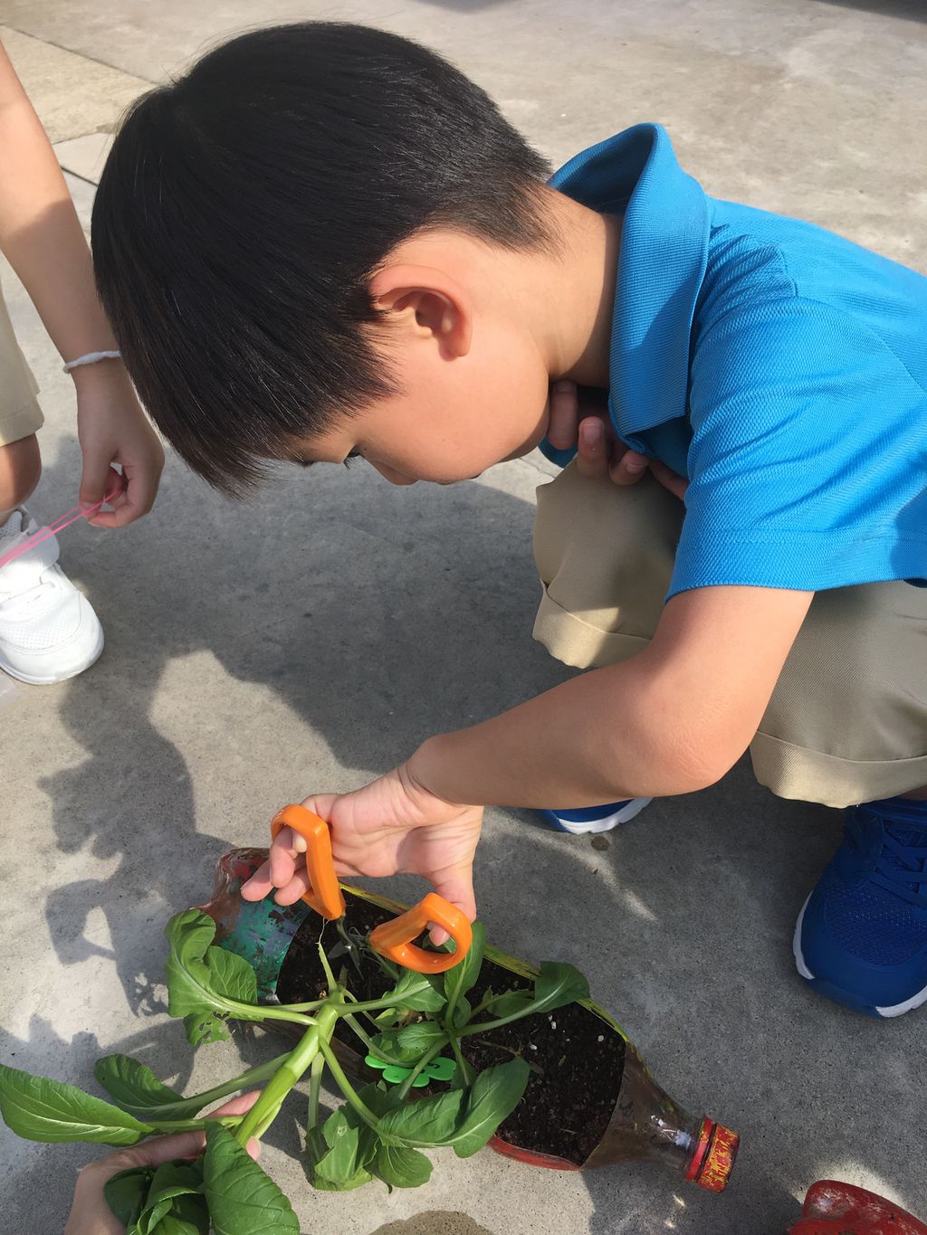 Love Spreads from the Garden - When the Love for Nature Reproduces — photo 2