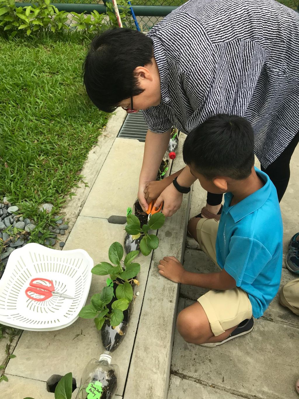 Love Spreads from the Garden - When the Love for Nature Reproduces — photo 3