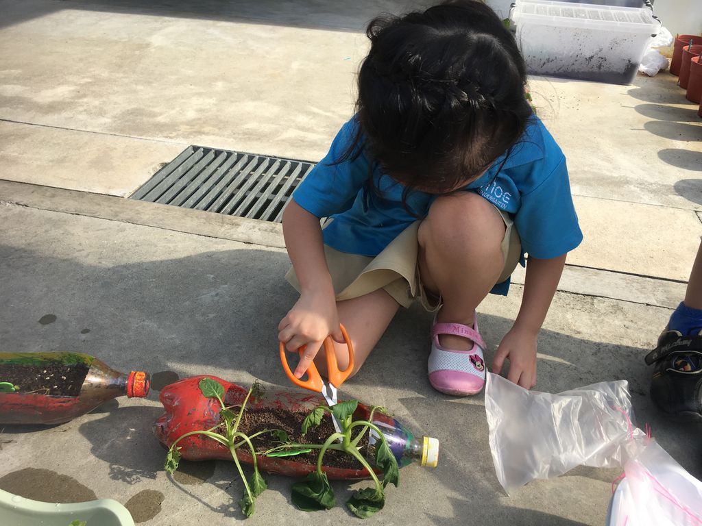 Love Spreads from the Garden - When the Love for Nature Reproduces — photo 4