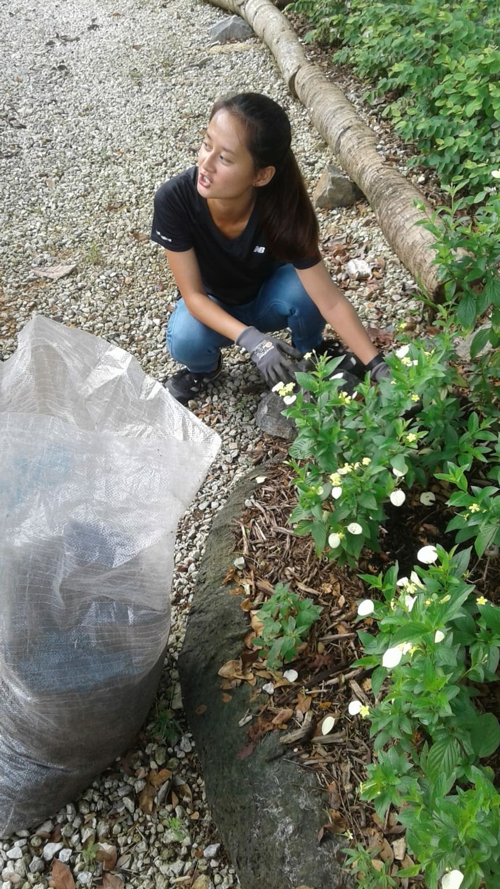 NurtureStars Punggol nurturing Punggol Waterway Park through organic mulching! — photo 2