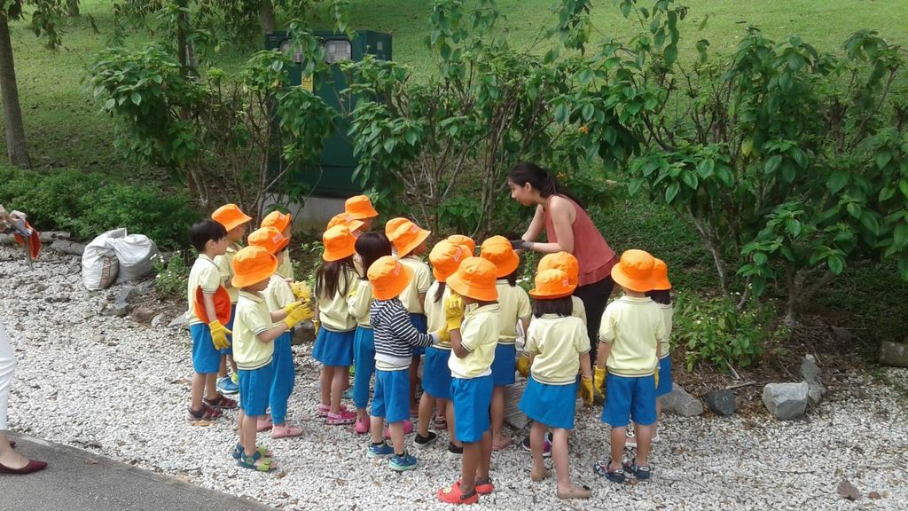 NurtureStars Punggol nurturing Punggol Waterway Park through organic mulching! — photo 4